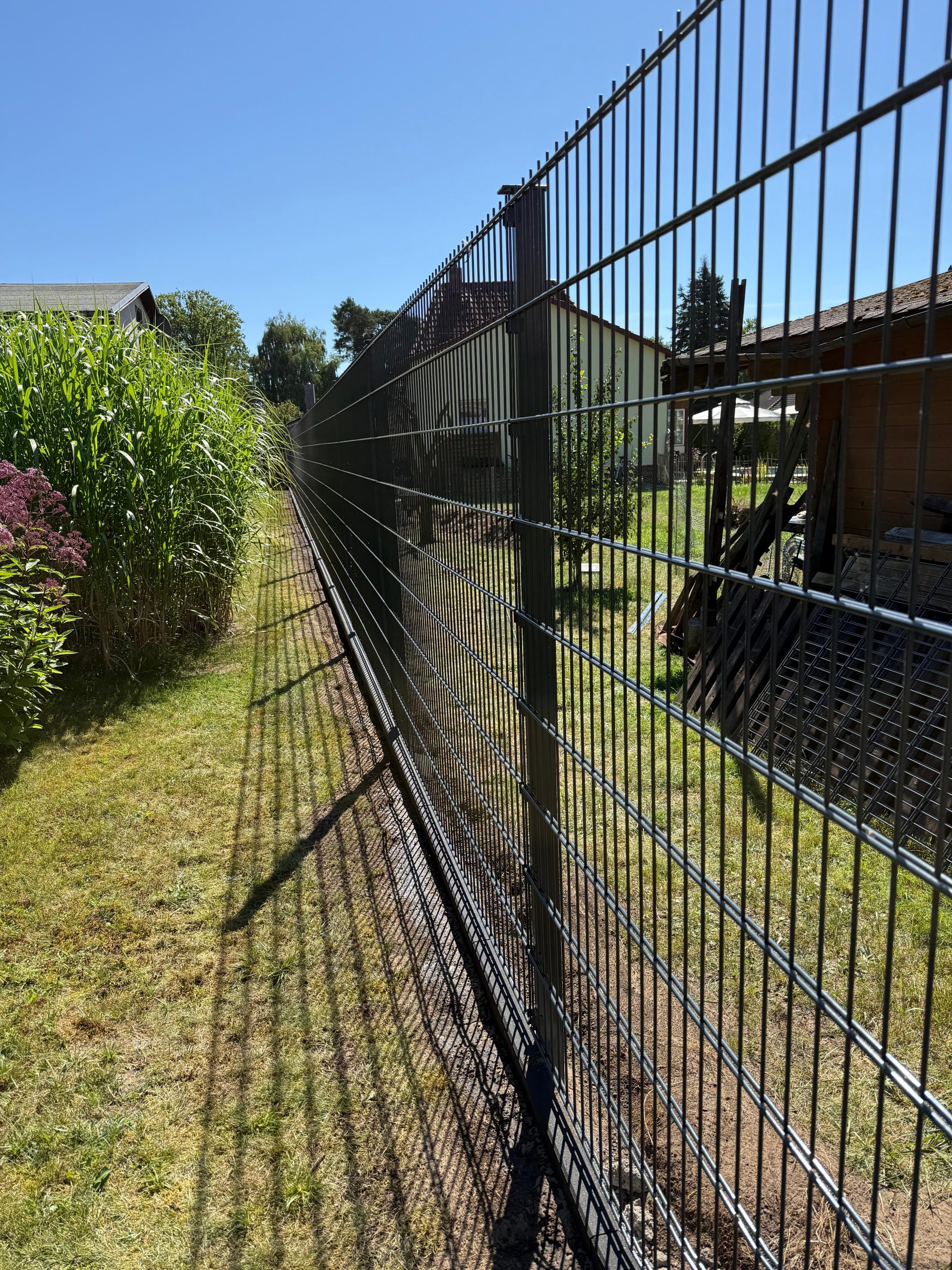 whatsapp image 2026 07 15 at 23.43.32